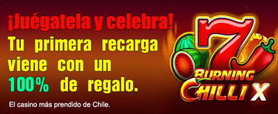Mejores Slots en 1xbet Casino